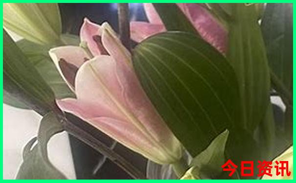 北戴河晚上去哪玩比较好